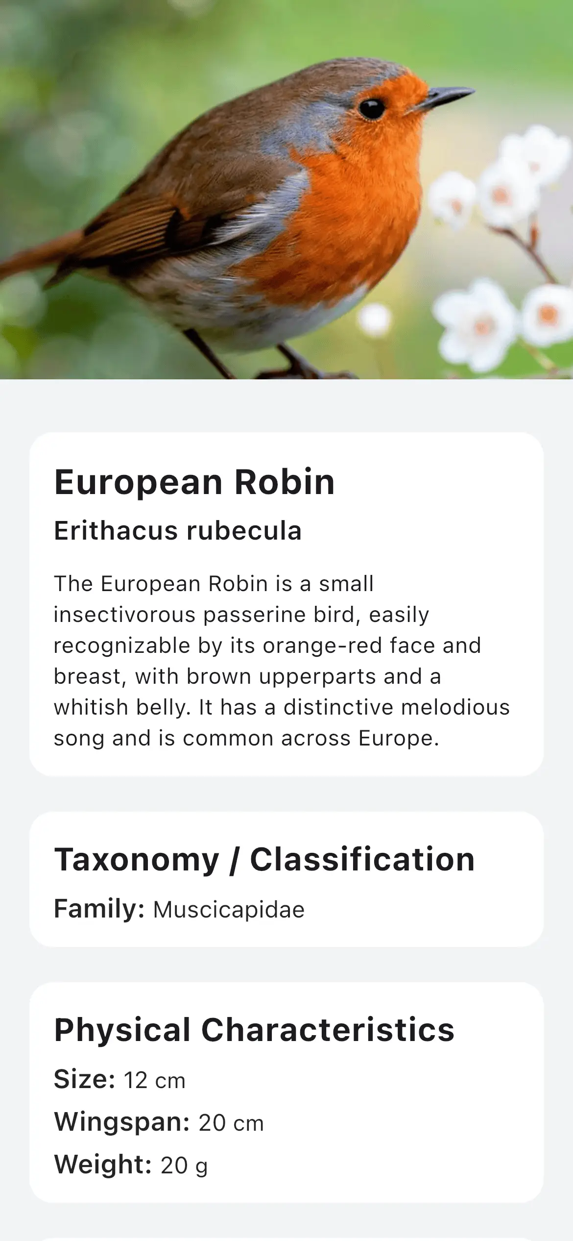 Viewing bird details